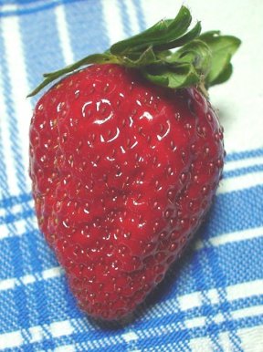 肽Ă